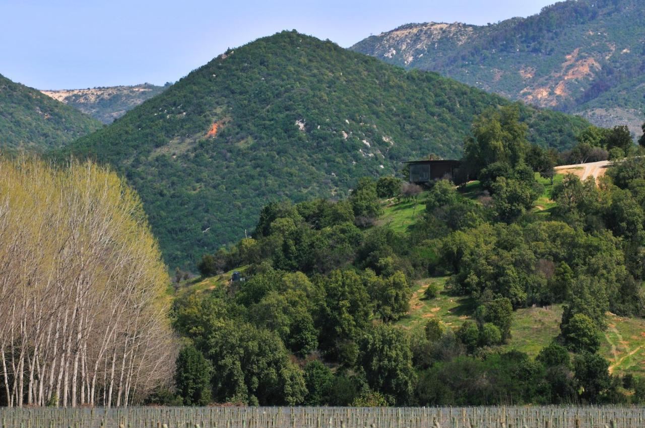 Vik Chile Otel San Vicente de Taguatagua Dış mekan fotoğraf