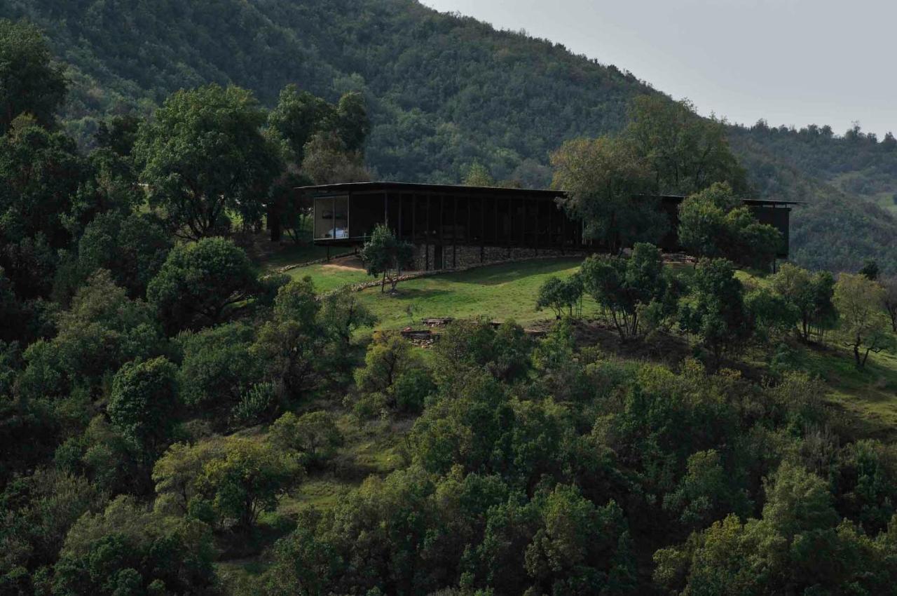 Vik Chile Otel San Vicente de Taguatagua Dış mekan fotoğraf
